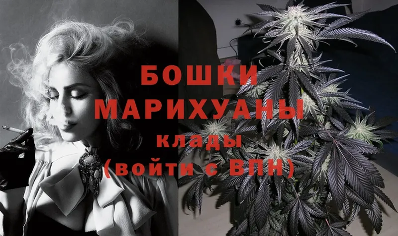 Конопля SATIVA & INDICA  купить   Янаул 